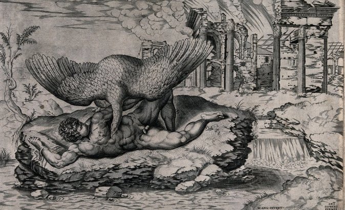 Lumen et Virtus 36